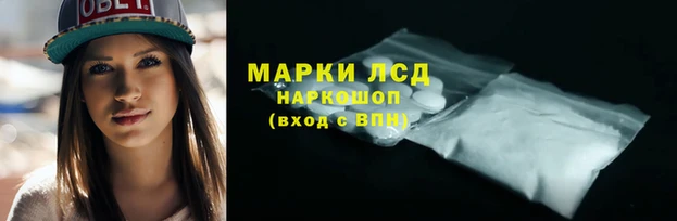 ПСИЛОЦИБИНОВЫЕ ГРИБЫ Абдулино