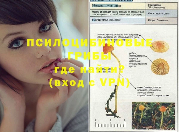 ALPHA-PVP Нефтекумск