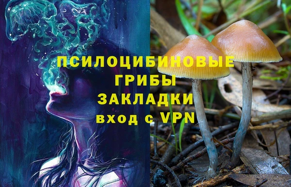 ALPHA PVP Абаза