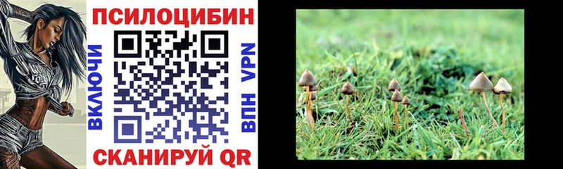 мега ONION  Поворино  Галлюциногенные грибы Psilocybine cubensis 